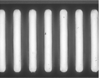 Box 1